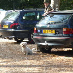 dierendag 2009 panbos vrouwtje ik ben moe, kom je nu?