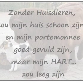 Hondenfoto van Marie-Rose & Tibootje (RIP) + Freya'tje