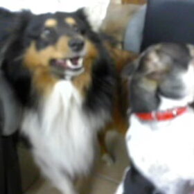 Diaz & Maksie