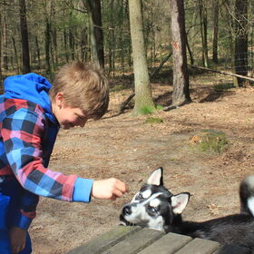 kijk eens hoe lief ik ben met kinderen