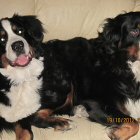 Kay en Diesel