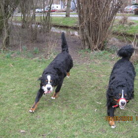 Kay en Diesel