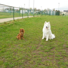 joekie en mikai