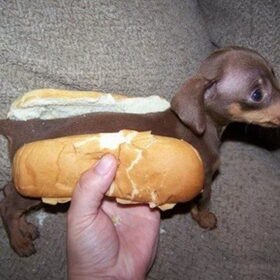 zo'n hotdog wil ik niet eten