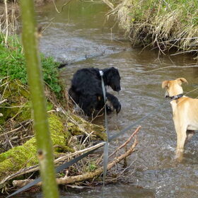nou oke..., als Misty het doet ga ik wel mee