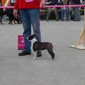Hier staat Fleurtje in leiden op de show en kreeg twee…