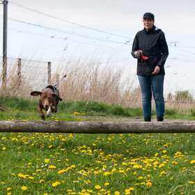Jump, jump! (4 mei 2013)
