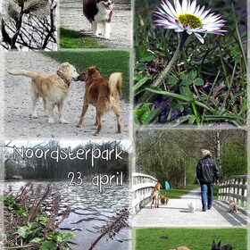 Noordsterpark in Wormerveer