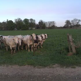 Kom dat zien, kom dat zien !!! Mei 2013