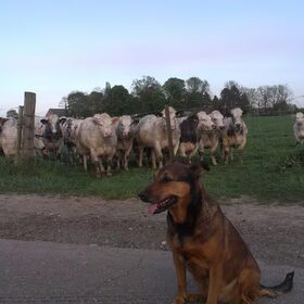 Hoi Kylie !!! Mei 2013