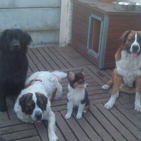 Diesel die net bewoog... I love my Pack