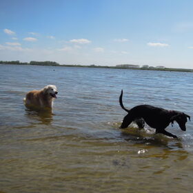 zeewolde strand
