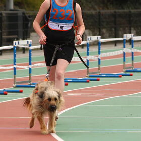 NK canicross - de start