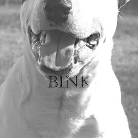 Hondenfoto van Hannah & Bink† en Beertje