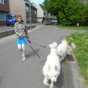 ikke aike en balto
