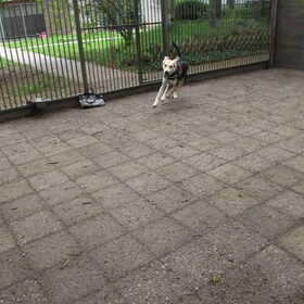 En... ACTIE!