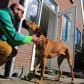 Hondenfoto van Anne-Wil (baasje van Juno)