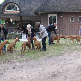 Hondenfoto van Anne-Wil (baasje van Juno)