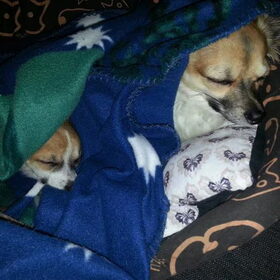 Lieve Gucci & Amy!