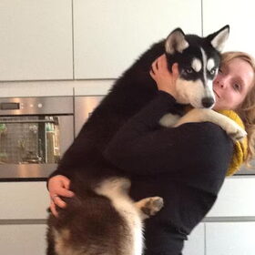 toch ne grote knuffelbeer