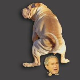 Hondenfoto van **The more I know about people, the more I love dogs**