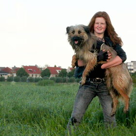 Hondenfoto van team Shadow