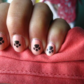 Roze met hondenpootjes