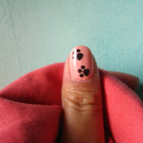 Roze met hondenpootjes