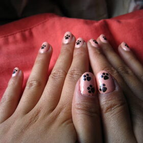 Roze met hondenpootjes