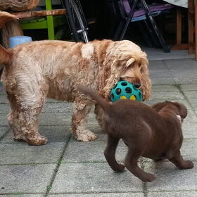 lady begint mij ook al lief te vinden en speelt al met me
