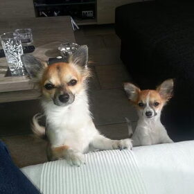 Lieve Gucci & Amy