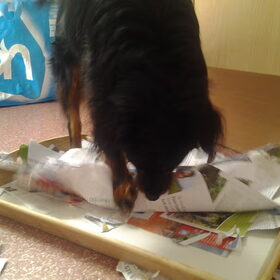 Papier maken 1