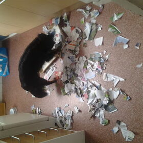 Papier maken 2