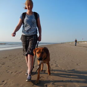 Hondenfoto van Anne-Wil (baasje van Juno)