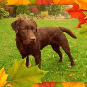 Herfst