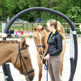 bewerking****