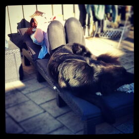 Hondenfoto van Anouk & Balou<3