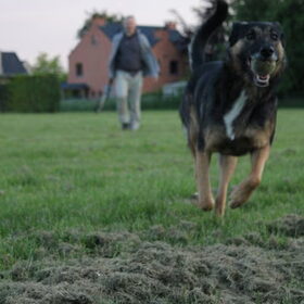 Helaas een beetje onscherp maar toch leuke foto!