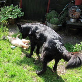 Pepper en Helmer op hun eerste dag samen. Ze konden het gelijk…