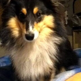 Finn 9 maand oud