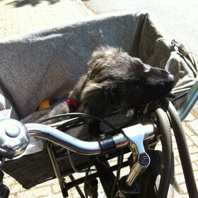 Op de fiets