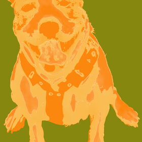4e kleur, geel-oranje