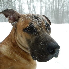 Sneeuw!