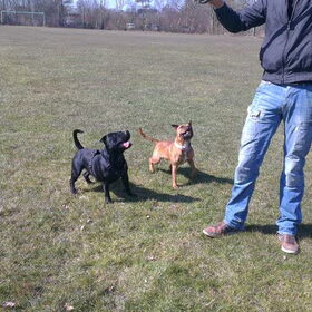 Zara en Kato