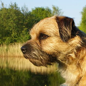 Rondje om het water