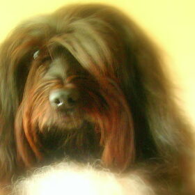 Poefzieeeee :) I
