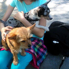 samen op schoot XD