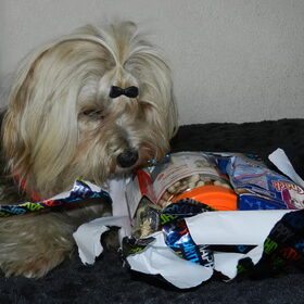 Bijna open, mammie mag helpen met het laatste stukje papier weg…
