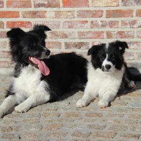15 weken samen met de mama