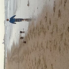 En na een wandeling in heemsteden ook nog naar het strand in…